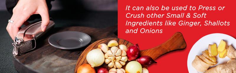 Kuhn Rikon Epicurean Garlic Press Stainless Steel 6.5 x 1 x 1.5 inches Silver Ergonomic Handles Bevelled Holes Dishwasher Safe Kitchen Utensil