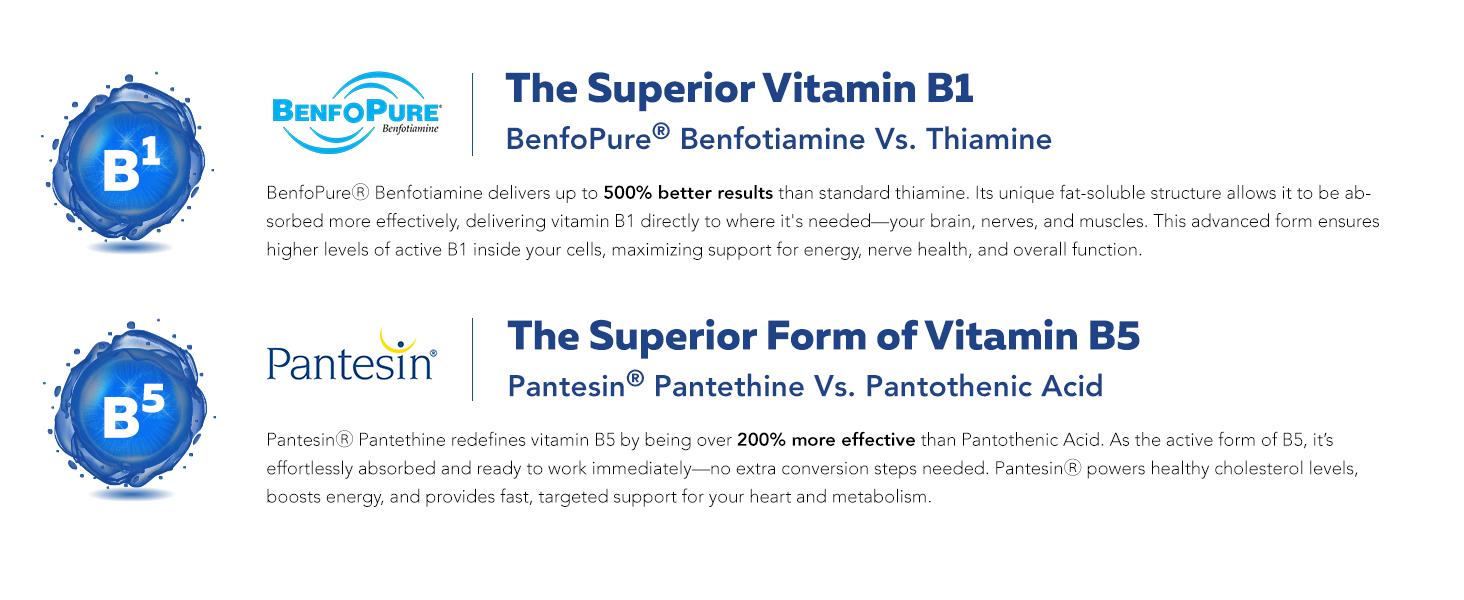 BioActive Vitamin B Complex | Methylated B-Vitamin Formula with Methylfolate, 3 Forms of B12, BenfoPure B1, and Pantesin B5 – 60 Servings