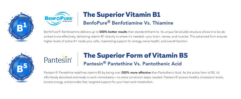 BioActive Vitamin B Complex | Methylated B-Vitamin Formula with Methylfolate, 3 Forms of B12, BenfoPure B1, and Pantesin B5 – 60 Servings