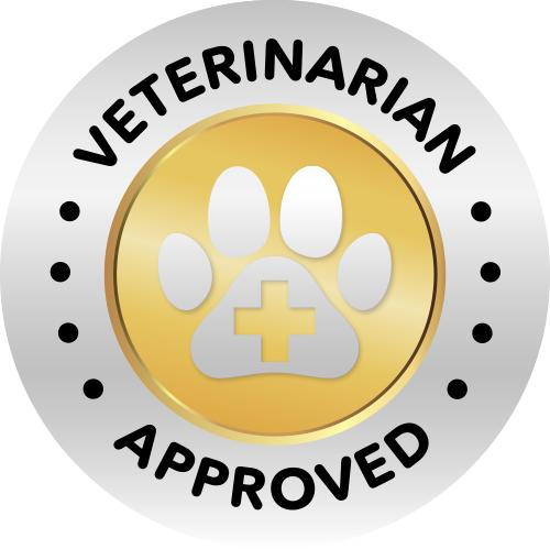 PetVet Medic Pet First Aid Kit - Dog Emergency Kit with Thermometer, Bandages, Wound Care, Pet  Health Supplies, Travel Bag & Essentials. Survival Equipment Set