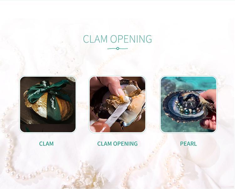 【Live】PEARLISM Freshwater AK Pearl Full String Necklace 3-4mm Dainty Iridescent Shine 40cm Length Perfect Collarbone Hug Daily Wear Accessory for Versatile Styling-N31