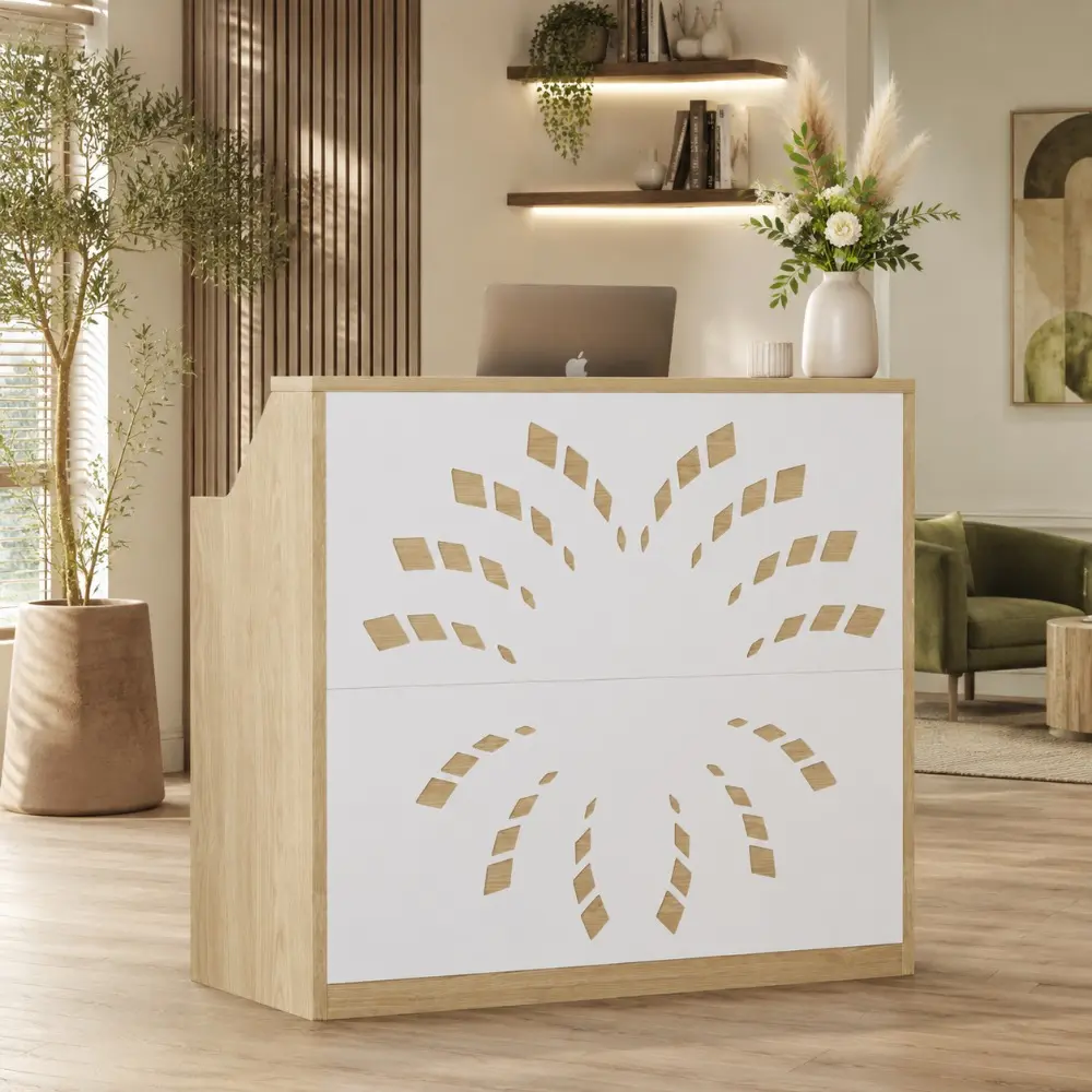 Littleox 46.5inch reception desk with storage cabinet, front desk, retail checkout counter- a modern reception desk suitable for lobbies, offices, and beauty salons, Natural + White