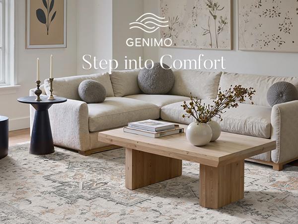 GENIMO No-Wash, Easy Care Spill-Resistant Area Rugs, Machine Washable Stain & Oil Resistant Non Slip Vintage Rugs, Family & Pet Friendly Carpet for Bedroom, Dining Room, Kitchen, Living Room