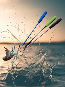 Fishing Rod with Bait Teaser