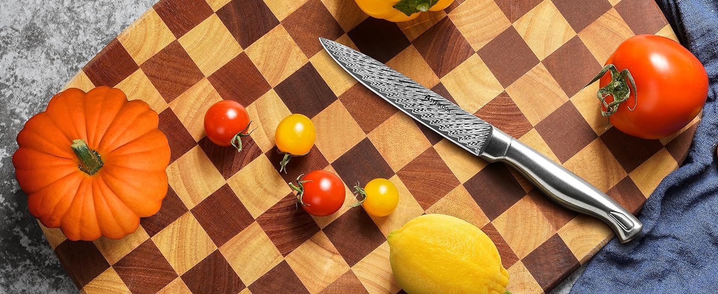 【Silver Iron Throne】Astercook Knife Set, 14-Piece Kitchen Knives Set Utensils Built-in Knife Sharpener, Dishwasher Safe Blade with Kitchen Steak Knives Steel Cutting Home