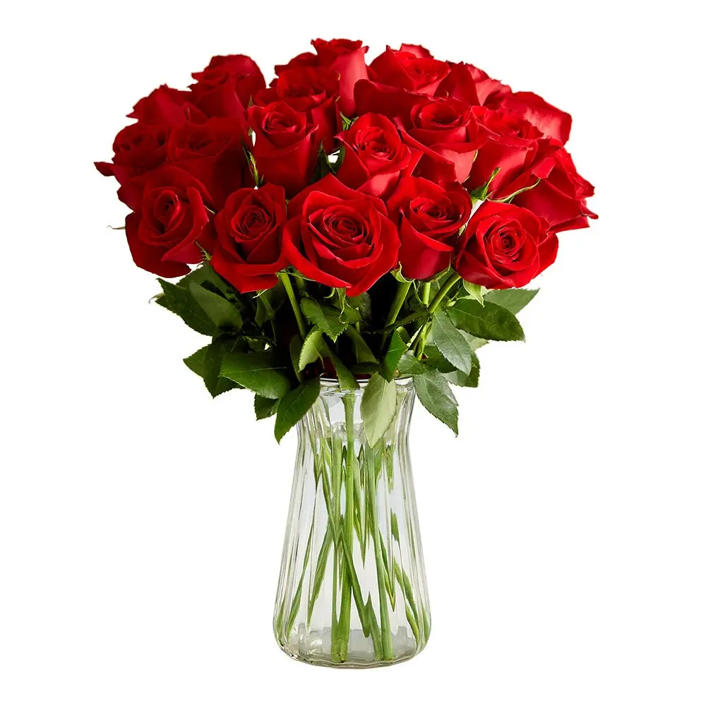 1800 Flowers - 24 Stem Red Roses Bouquet with Clear Vase, Fresh Flowers