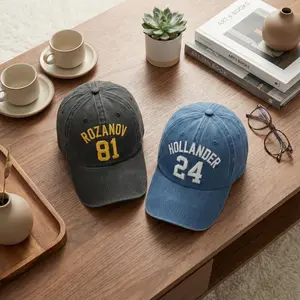 Unisex Holanov Embroidered Hat, Heated Inspired Hockey Romance Cap, LGBT Fan Gift