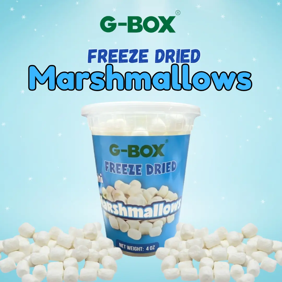 G-BOX Freeze Dried Marshmallows Mini 4 OZ in Air Tight Container Sweet Crunchy Snack Bite
