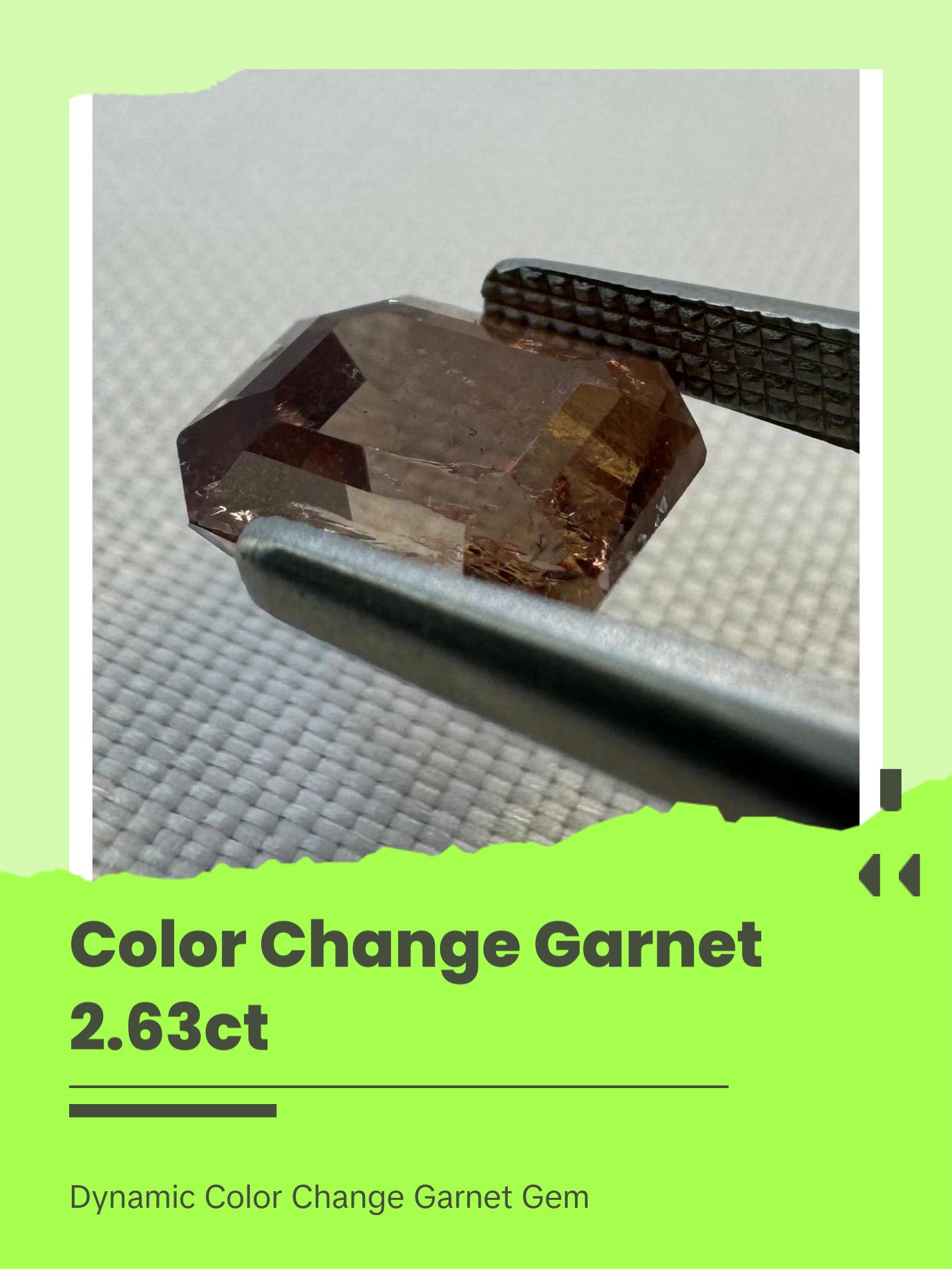 Natural Pyrope-Spessartite Color Change Garnet - 2.63ct - Octagon Step Cut