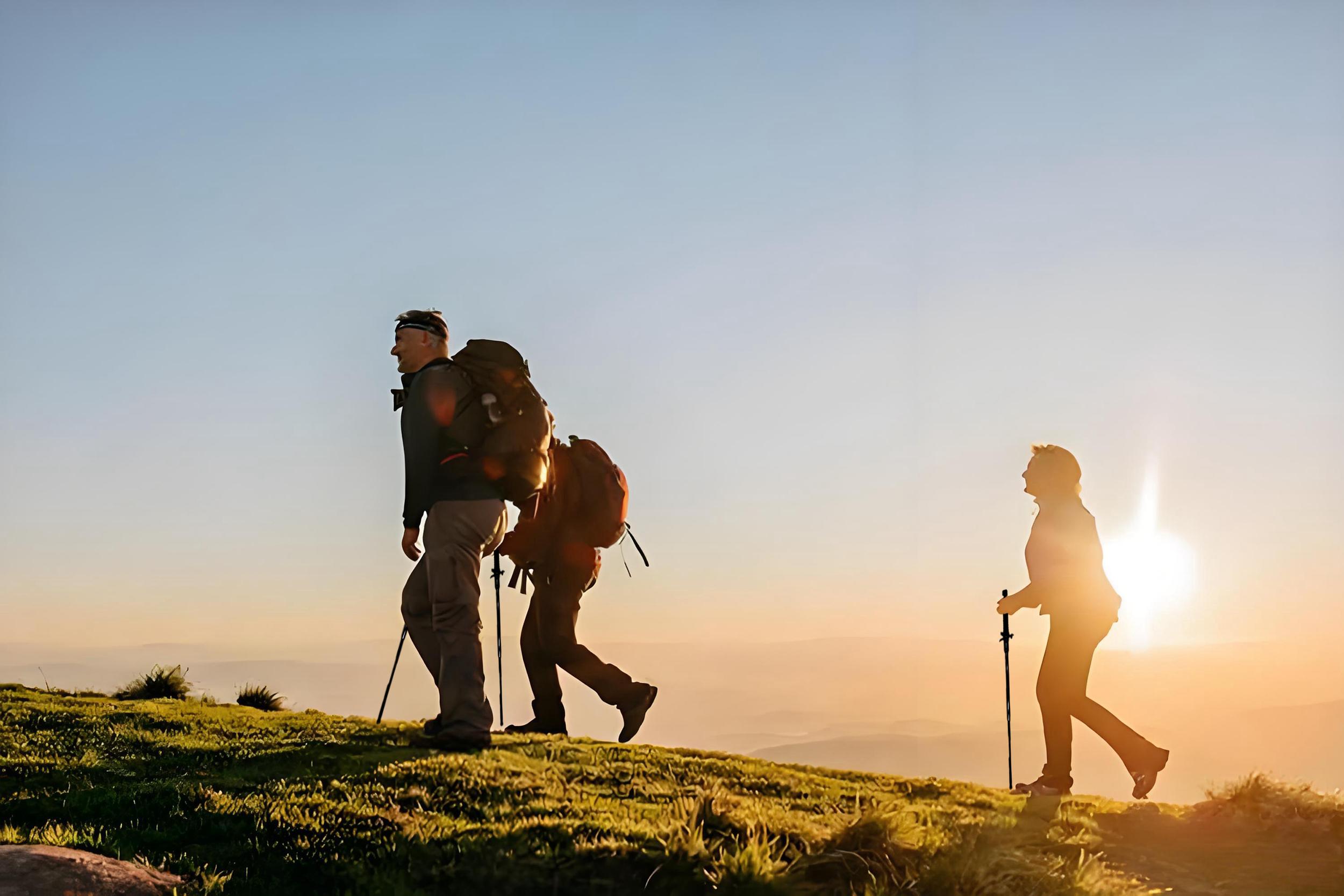 Multifunctional Trekking Pole Premium Alloy Steel Walking Poles Set Compact Foldable Design with Cushioned Handles 3-Section Telescopic Stick for Hiking & Camping