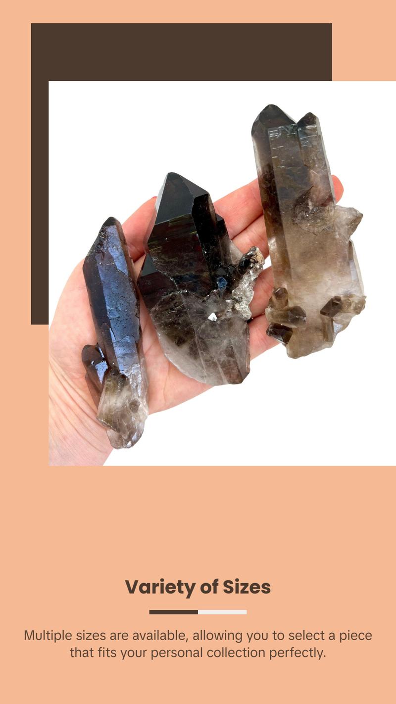 Raw Smoky Quartz Cluster with Large Points