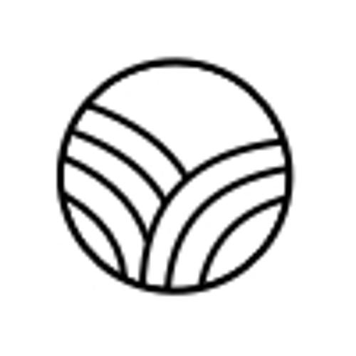 Youth Got This Serum