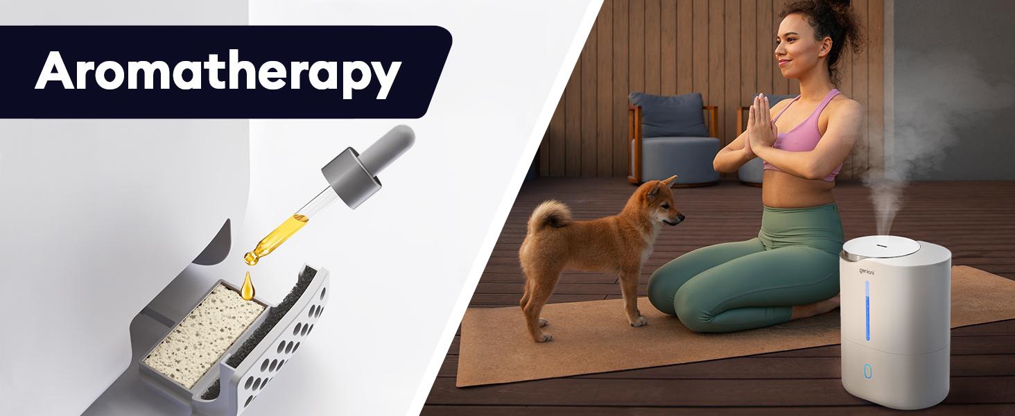 Geniani Huron 4L Ultrasonic Cool Mist Humidifier – Top Fill, Quiet for Bedroom, Plants,  Aroma Terapia  – 18h Runtime, Auto Shut-Off with Oil Scents