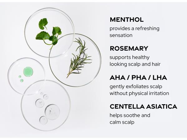 Dr. Groot Scalp Revitalizing Solution Scalp Exfoliating Detox Water - Gentle Exfoliation with AHA PHA LHA, Rosemary Oil, Menthol, Niacinamide for All Scalp Types