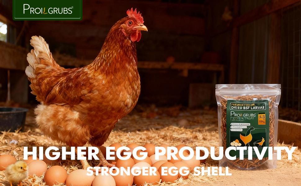 PROILGRUBS 3.5oz/7oz/10.5oz/14oz/5lbs/10lbs Dried Black Soldier Fly Larvae Protein Treat for Chickens Enhances Egg Productivity & Feather Health Non-GMO Natural Feed Rich in Calcium & Nutrients Worms Insects PROILGRUBS 3.5oz/7oz/10.5oz/14oz/5lbs/10lbs Dried Black Soldier Fly Larvae Protein Treat for Chickens Enhances Egg Productivity & Feather Health Non-GMO Natural Feed Rich in Calcium & Nutrients Worms Insects