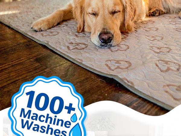 FXW Washable Pee Pads for Dogs, Puppy Pads with Super Absorbent, Specifically Designed for 18"/24"/30"/36" Length Cages, Khaki