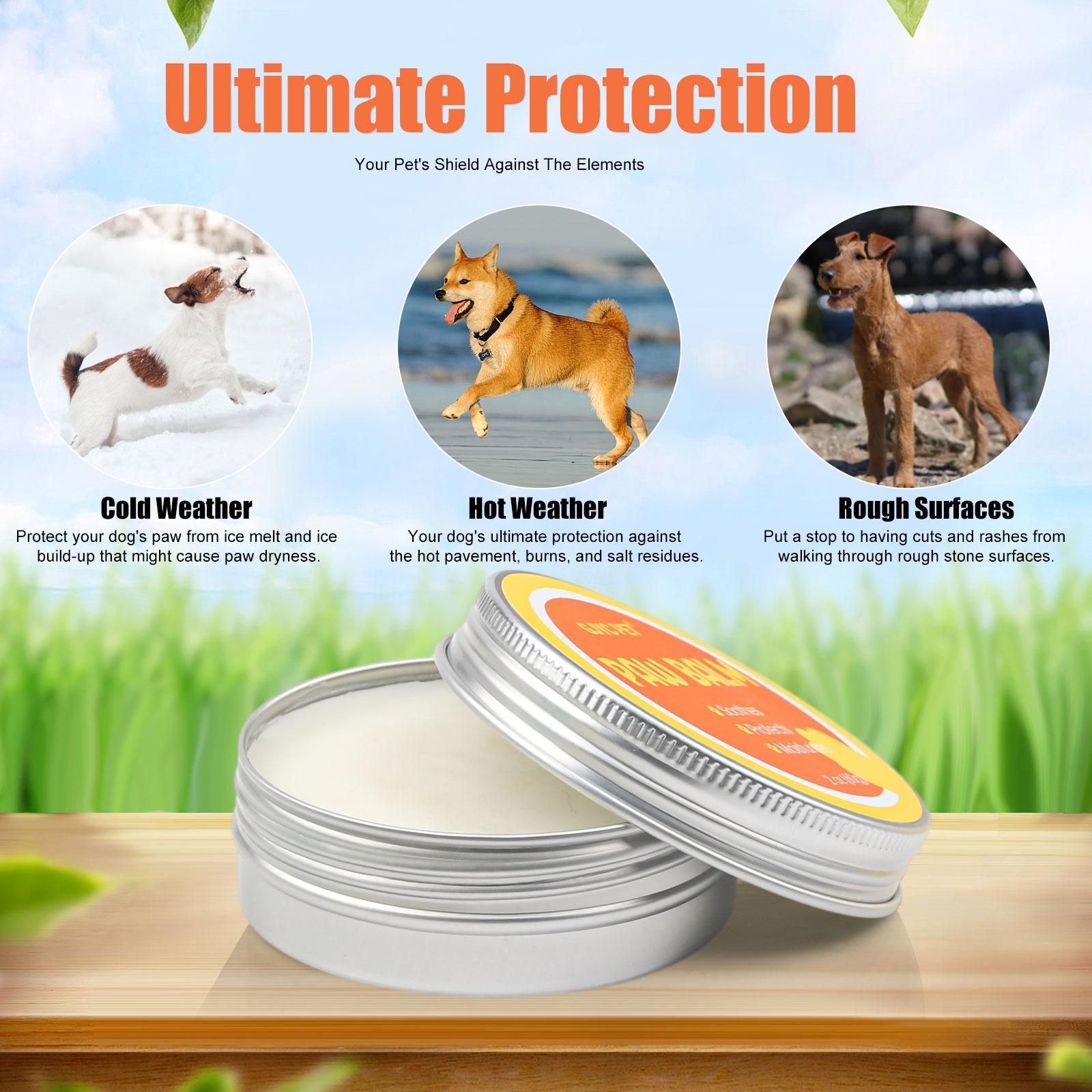 Liquid Paw Balm for Dogs & Cats - Lick-Safe Healing Balm for Dry Cracked Paws & Noses, All-Natural Food-Grade Formula, Protective for Hot Pavement & Winter Weather, Non-Greasy Pet Care Gift
