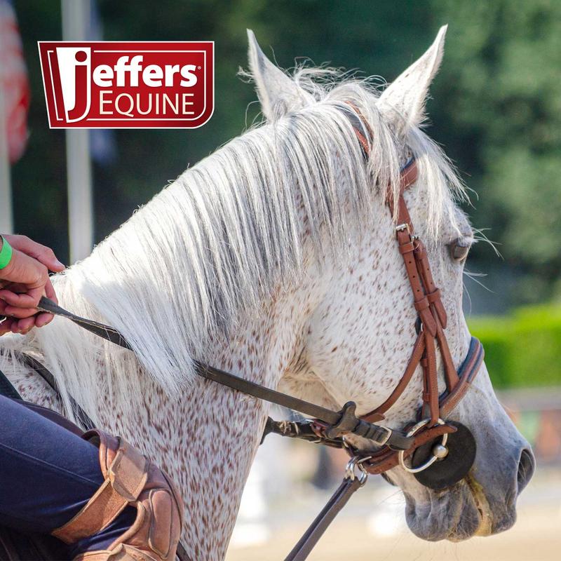 Jeffers Black Rubber Horse Bit Guards, Pair