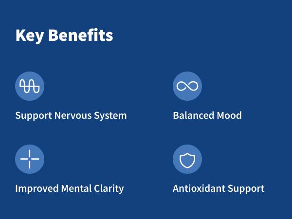 Nerve Health - All Natural Supplement for Nerve Support & Mental Clarity