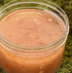 ORGANIC HERBAL MORINGA SCRUBS