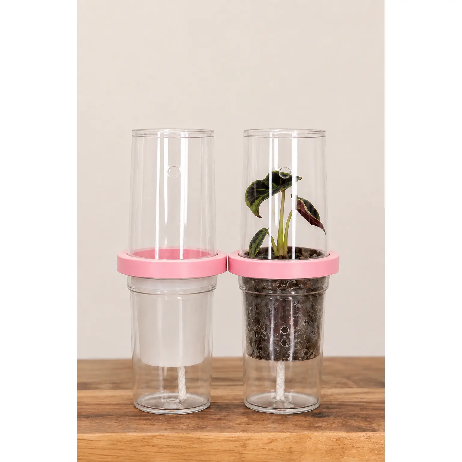 Tissue Culture Self-Watering Kit Set, 3D Printed Garden Supplies with Glow-in-Dark Solid Matte Finish & 2" Reservoir for Plant Care