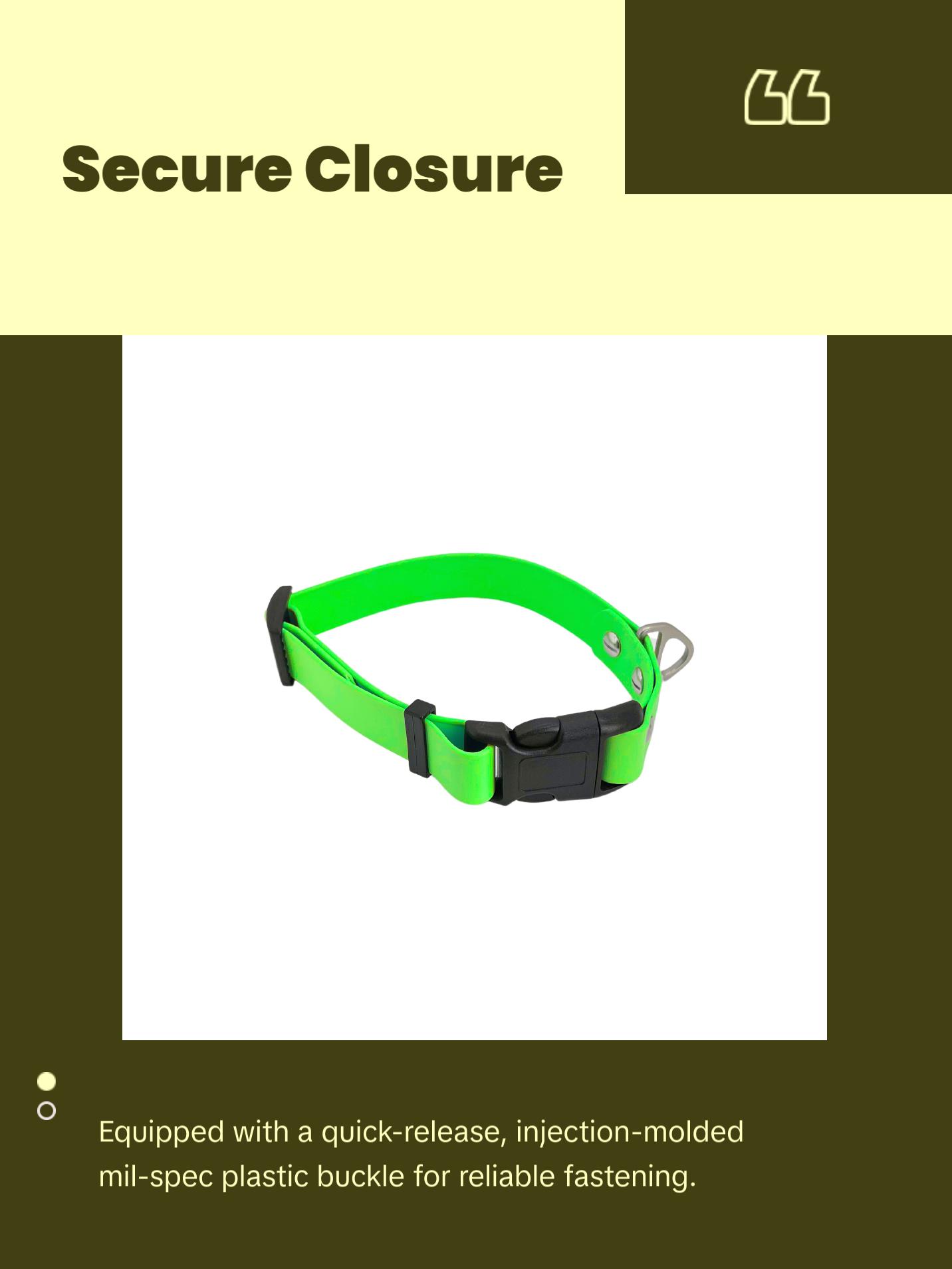 Special Edition - Quest Squad Collar