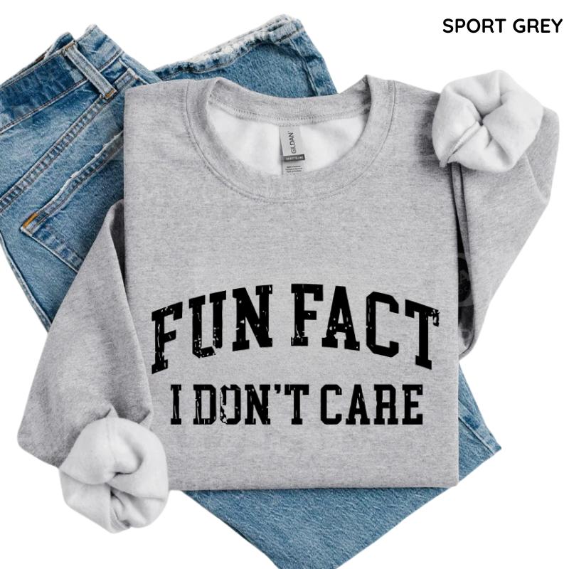 Fun Fact I Don't Care Funny Sweatshirt, Sarcastic College Sweatshirt, Adult Humor Pullover Shirt, Talkative Person Shirt, Sarcastic Funny Quote Crewneck