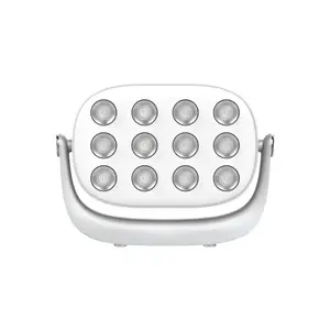 Portable Red Light Panel