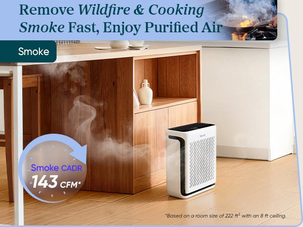 LEVOIT Vital 100S Pet Air Purifier for Home Large Room Bedroom Up to 1110 Ft² with Light Sensors, Smart WiFi, HEPA, Sleep Mode for Pets, Allergies, Dust, Odor,valentinesdaygift