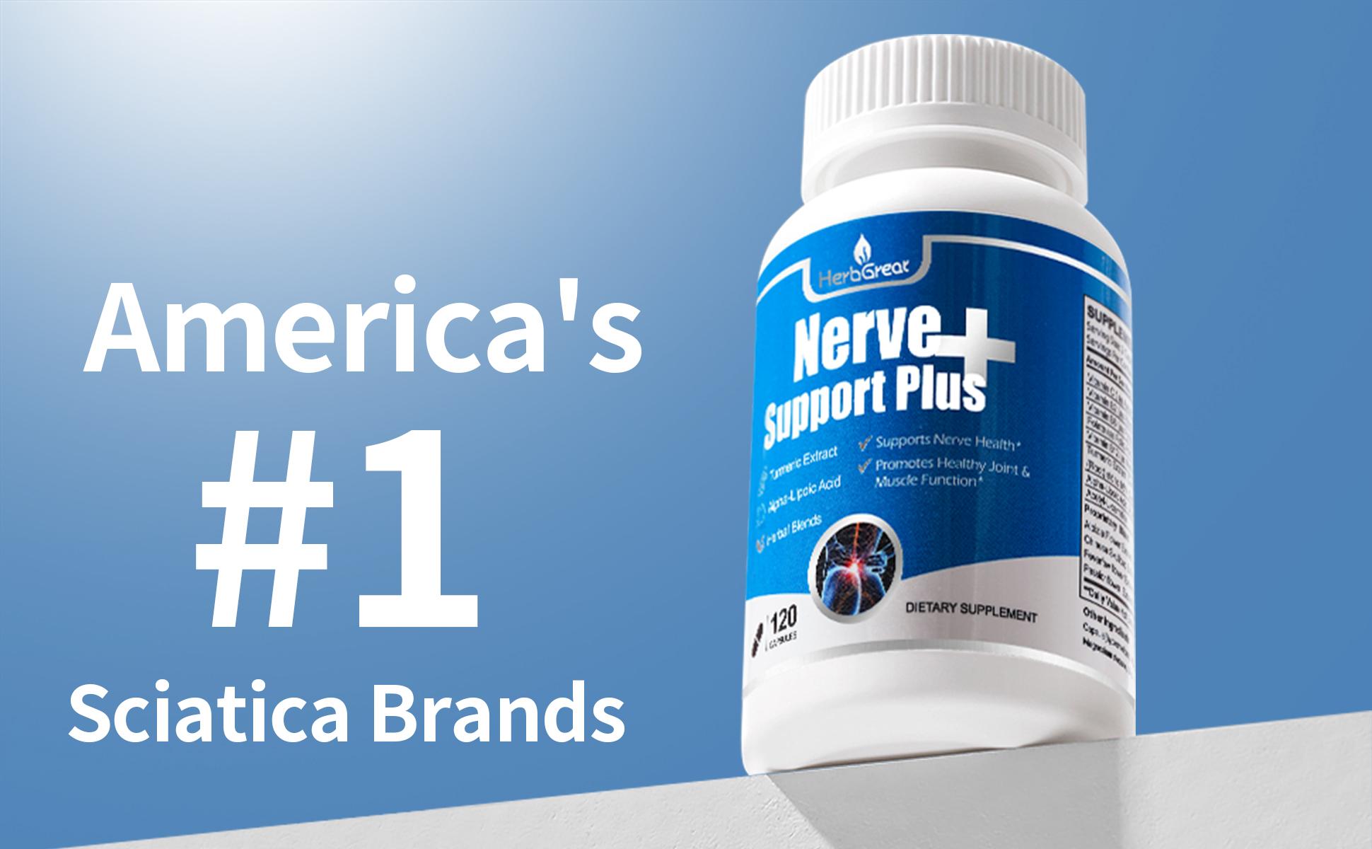 HERBGREAT Nerve Support Plus - 120 Capsules for Sciatic Nerve Health & Joint Comfort - Turmeric, Alpha Lipoic Acid, Acetyl-L-Carnitine, Vitamin C & B-Complex - USA Made - Sciatica Relief Supplement - Bone Immune Drops HERBGREAT Nerve Support Plus - 120 Capsules for Sciatic Nerve Health & Joint Comfort - Turmeric, Alpha Lipoic Acid, Acetyl-L-Carnitine, Vitamin C & B-Complex - USA Made - Sciatica Relief Supplement - Bone Immune Drops