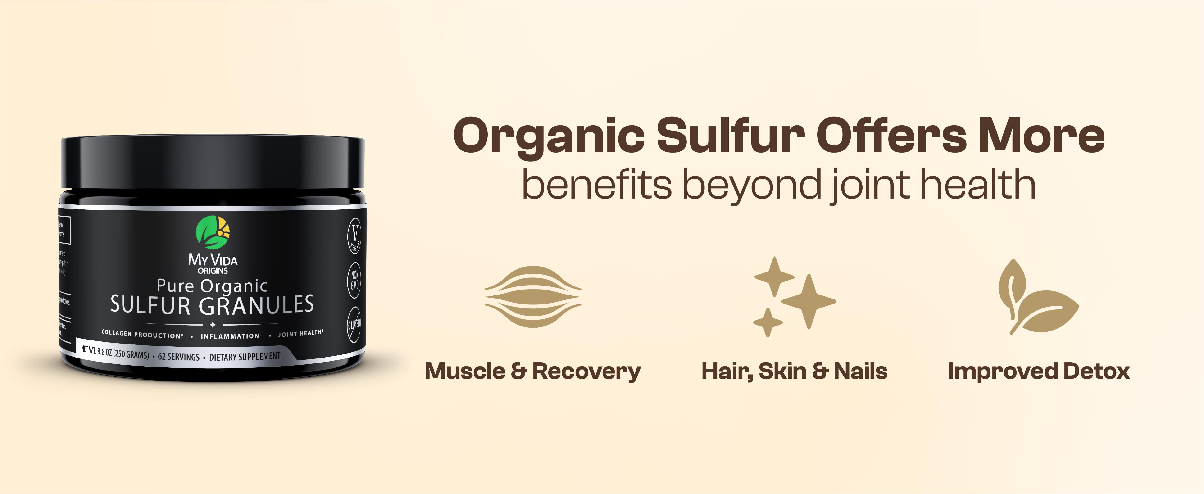 My Vida Origins Pure Organic Sulfur | 99% Pure MSM Granules for Joint Pain, Inflammation, Energy, Hair, Skin, and Nail Health | Non-GMO, Vegan, Gluten Free (62 Servings) 3-6 Month Supply