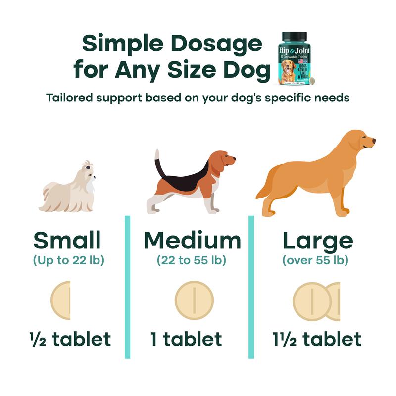 Natureflow Hip & Joint Supplement for Dogs Green-Lipped Mussel Glucosamine Mobility Support Zero Sugar Chewable Tablets MSM Chondroitin Ginger Devil’s Claw Made in USA