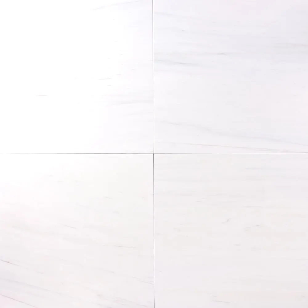 Bianco Dolomite Marble 24x24 Polished/Honed Marble Tile
