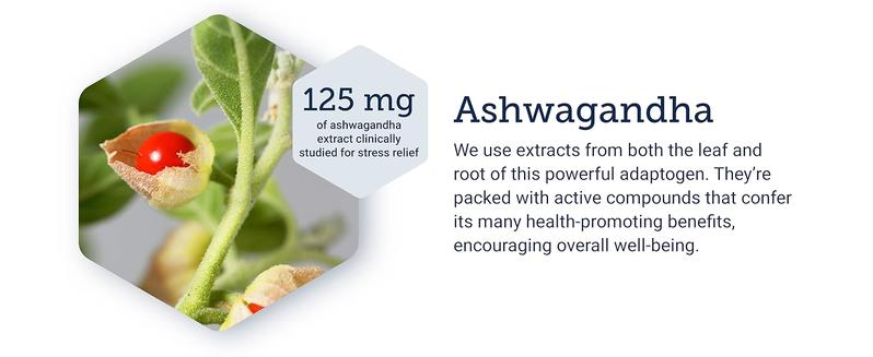 Cortisol Supplement Women, Ashwagandha cortisol reducer, Supports Calm, Relaxation, Focus, Stress & Mood Health, Life Extension Healthcare Fitness
