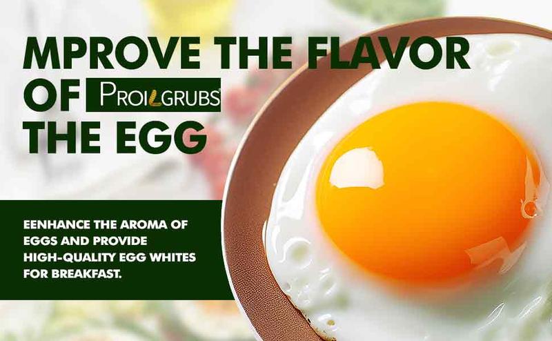 11LBS Non-GMO-Dried Worms for Chickens All Natural Dried Black Soldier Fly Larva Treats, Dried Meal Worms for Chickens, Hens, Birds... Dry Food