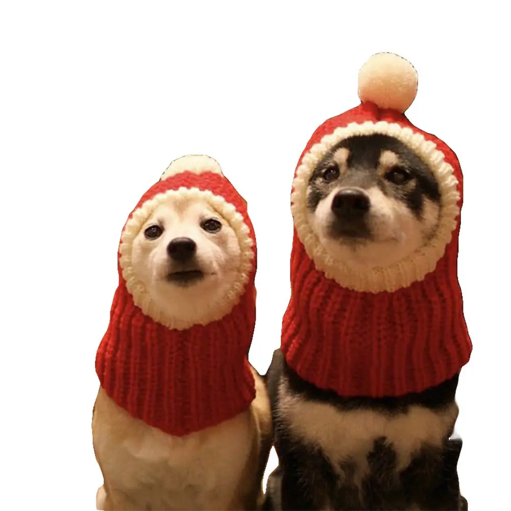 Knit Pom-Pom Dog Beanie — Warm Winter Hat