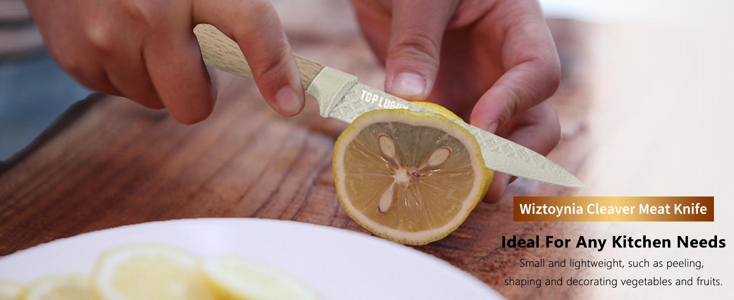 6-Piece Kitchen Knife Set with Block, Stainless Steel Dishwasher Safe - Ergonomic Handle Knives for Meat, Vegetables