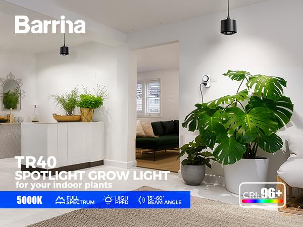 Barrina TR40 Hanging Grow Lights for Indoor Plants, 40W 5000K Full Spectrum, Adjustable Beam Angle, High PPFD, Spotlight Grow Light with Timer for Indoor Growing, Large Tall Plant, Flowers