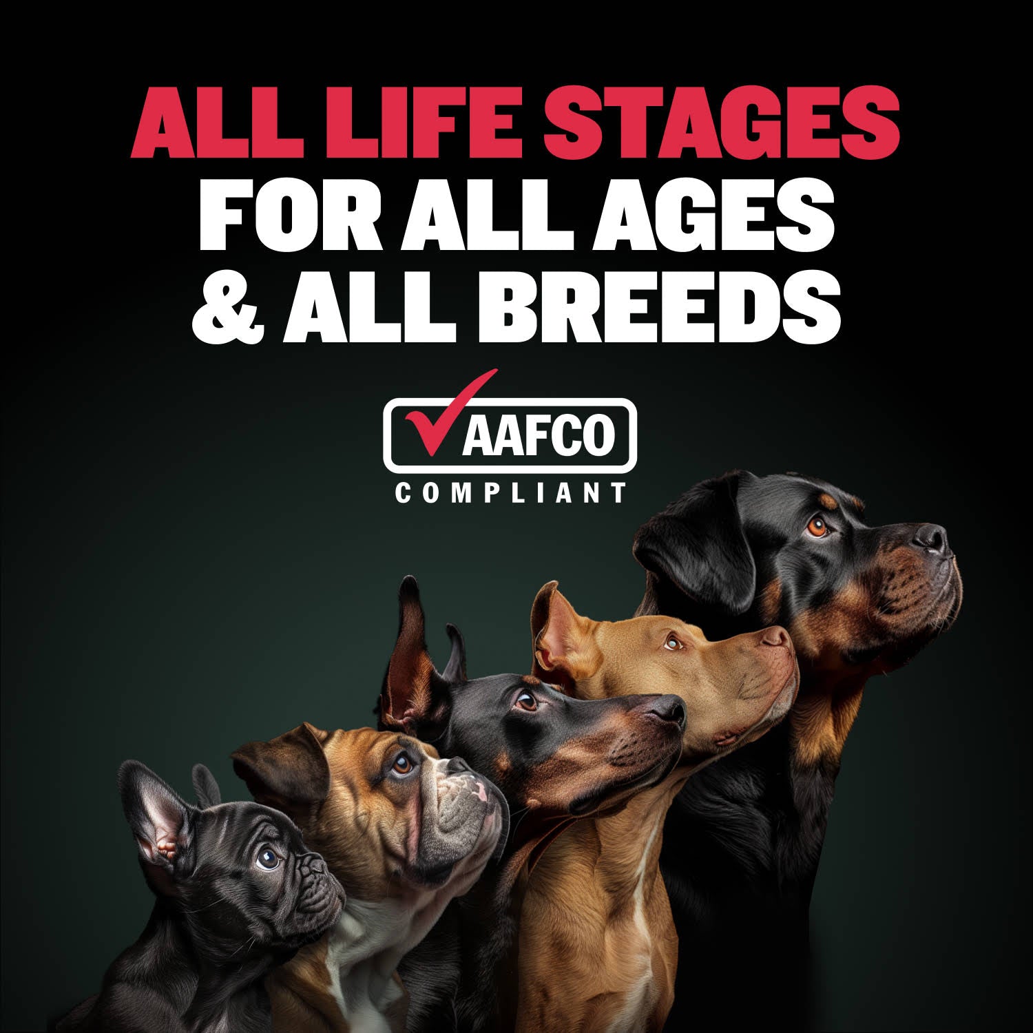 Bully Max 2-in-1 Muscle Builder Chewable Tablets for Puppies & Adult Dogs - Ultimate Canine Dog Supplement for Muscle Gain