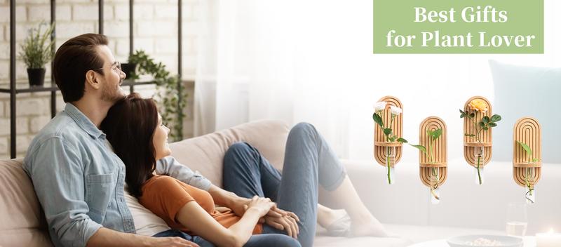 Hanging Plant Propagation Stations:  Set of 4, Rustic Wall Planter for Indoor Plants, Wood Plant Holder, Glass Terrarium Test Tube Propogation Vase for Home Office Decor