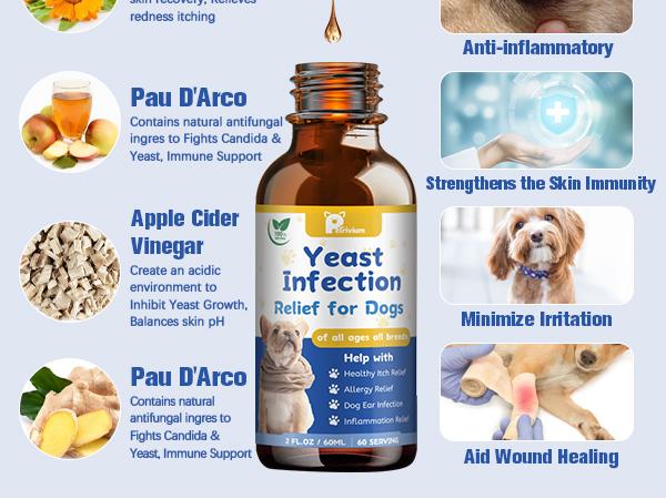 Natural Dog Health Herbal Supplement Drops – Supports Comfort for Yeast-Related Itchy Skin, Ear Discomfort & Paw Itching, Soothes Irritation Linked to Sensitivity
