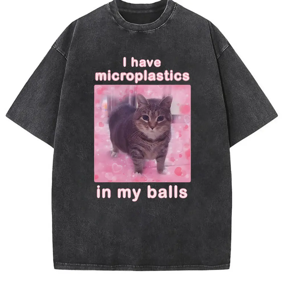 I Have Microplastics in my Balls Funny Cat Meme T-shirt, Gift for Woman, Ironic Cats Shirt, Stupid Silly Gifts, Goofy Ahh Cat Tee Shirt Gift