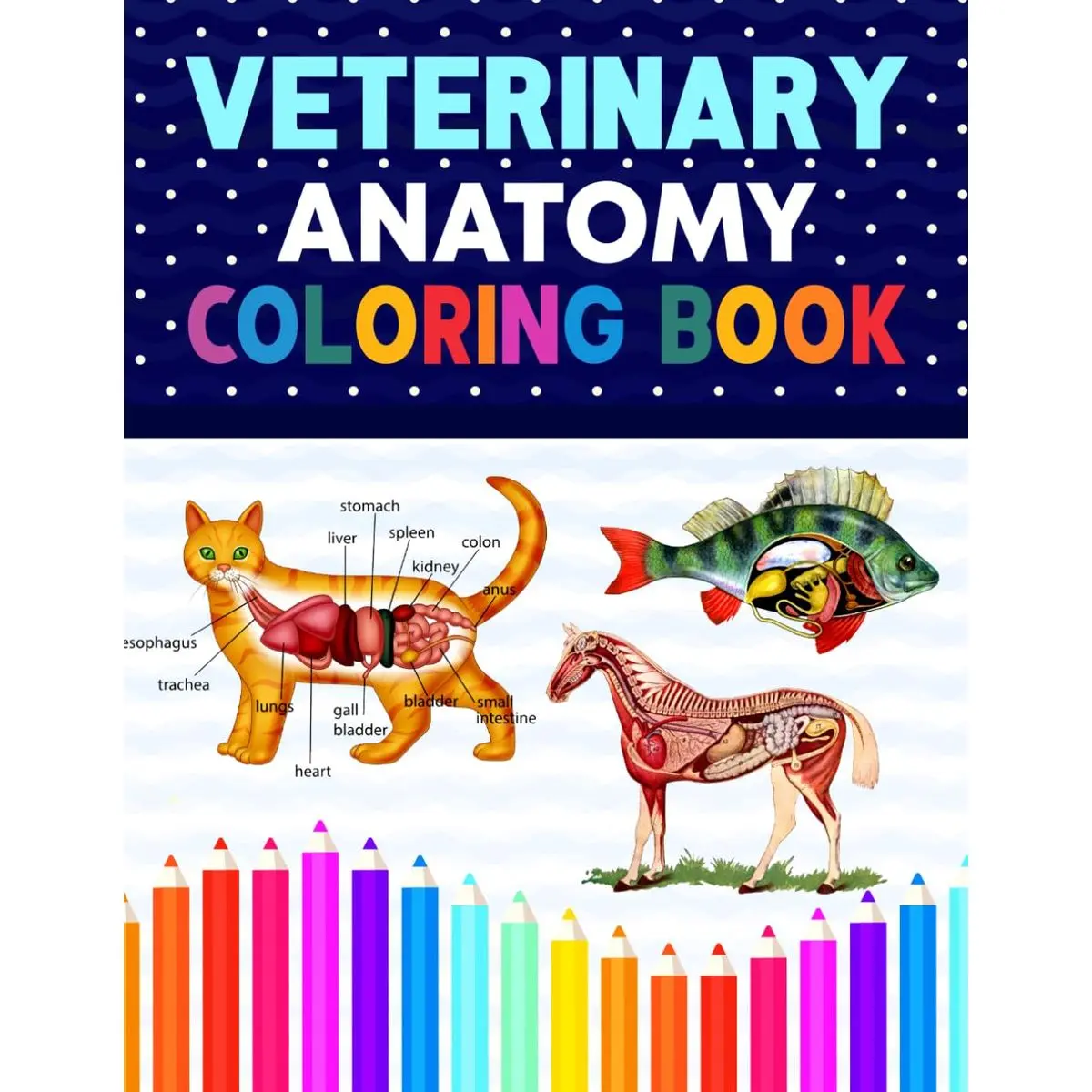 Veterinary Anatomy Coloring Book: Dog Cat Horse Frog Bird Anatomy Coloring Book. Perfect gift For All Ages Kids 4, 5, 6, 7, 8, 9 & 10. Vet tech ... Veterinary & Zoology Anatomy Coloring Book. Paperback – November 24, 2020