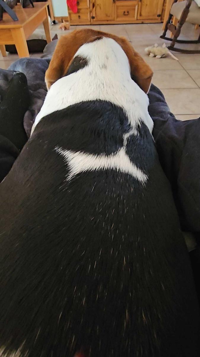 Item: Long-Grey, 50”x71“