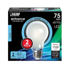 Feit Electric 75 Watt Replacement Daylight 5000K A19 Dimmable Frosted Glass LED Light Bulb 2 Pack