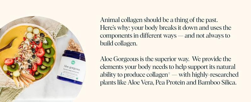 Ora Organic Vegan Collagen-Boosting Powder for Women and Men - Hair, Skin, & Nails Support - Bamboo Silica, Plant-Based Protein, Organic Vitamin C, Aloe Vera - Vanilla Flavor, 20 Servings