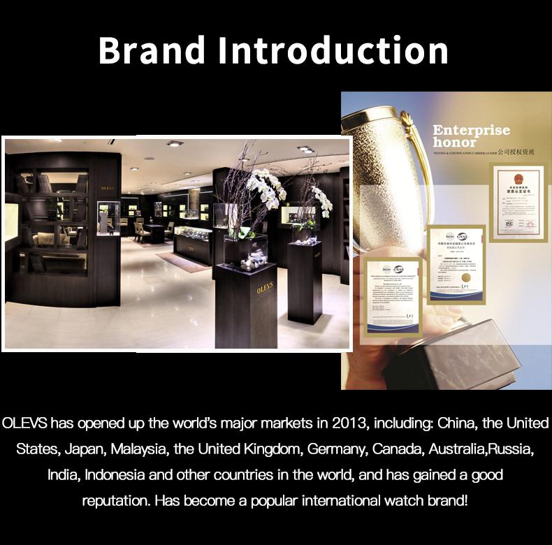 OLEVS Men's Watch Chronograph Business Dress Quartz Stainless Steel Water Resistant Luminous Date Wristwatch