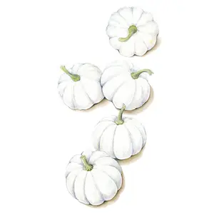 Casperita Pumpkin Seeds