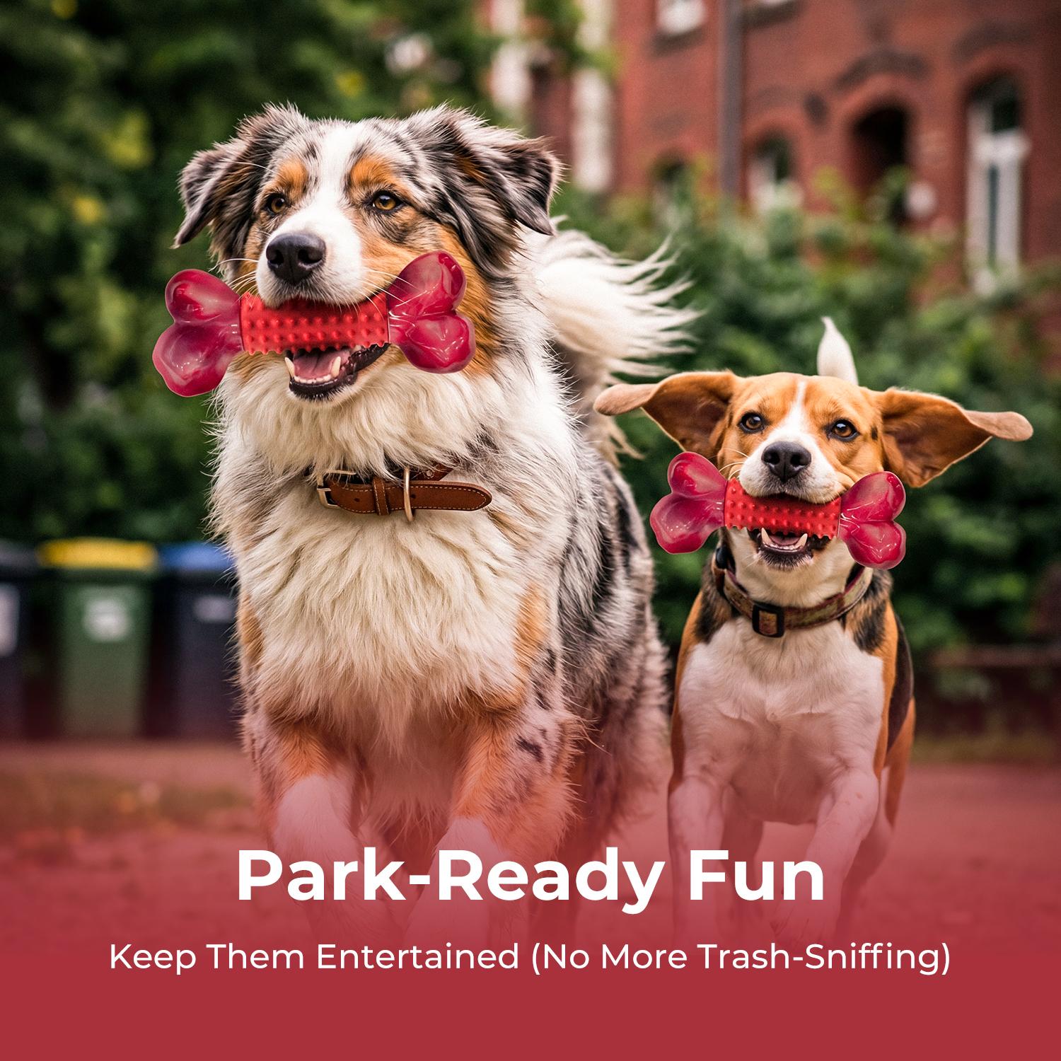 Durable Chew Toy for Strong Dogs, Sturdy Toy for Large Breeds, Indestructible Chew Toy, Interactive Dog Toy, Dog Teeth Grinding Toy, Large Dog Toy, Dog Birthday Toy