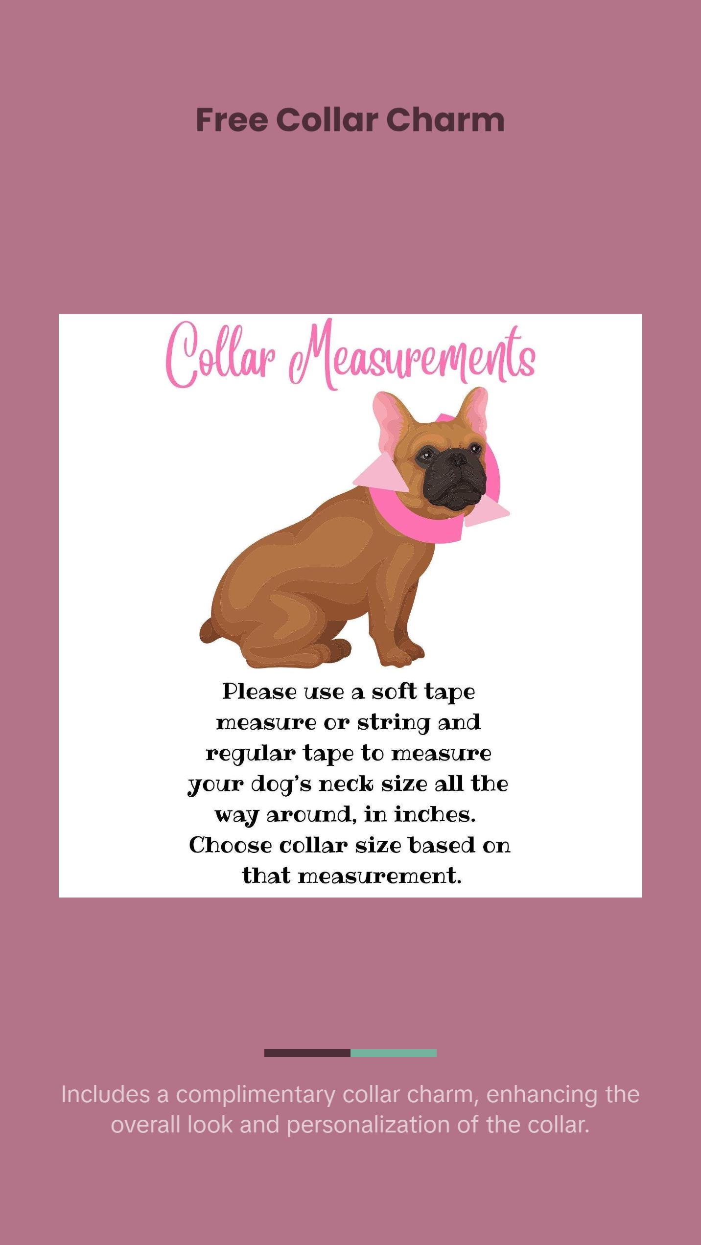 The Layla Beaded Dog Collar | Durable Dog Necklace | Designer Pet Jewelry | Colorful Spring Easter Collar | Charm | Pearl Bead Collars